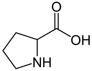 Molecula de PROLINA